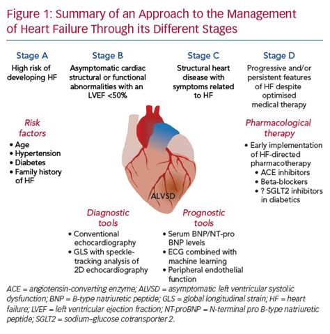 Left Ventricular Systolic Dysfunction (LVSD) Management.